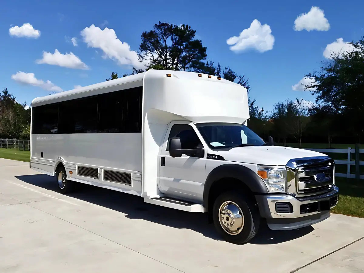 20 Passengers Party Bus