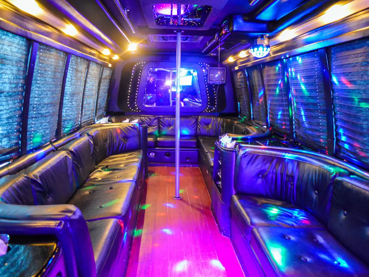 20 pax party bus interior